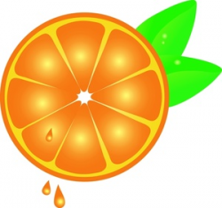 Free Orange Clipart Image 0515-1006-2302-4254 | Computer Clipart