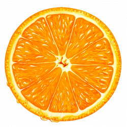 Orange Slice PNG Clipart - Best WEB Clipart