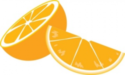 Orange Slice Clipart | Clipart Panda - Free Clipart Images