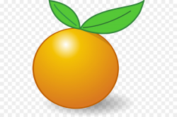 Orange, Fruit, Food, transparent png image & clipart free download