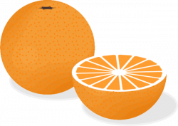Orange fruit vector clip art - Cliparting.com