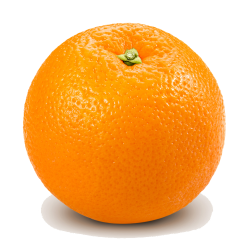 Free Orange PNG Transparent Images, Download Free Clip Art, Free ...