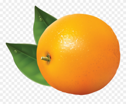 Orange Clip Art - Orange Clipart Transparent Background - Png ...