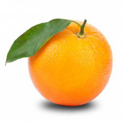 Orange HD PNG Transparent Orange HD.PNG Images. | PlusPNG