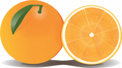 Orange PNG Images Transparent Free Download | PNGMart.com