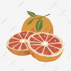 Orange Watercolor Illustration Material, Orange Clipart, Watercolor ...