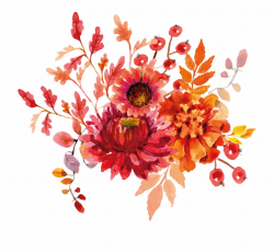 Orange Watercolour Flowers Png Free PNG Images & Clipart Download ...