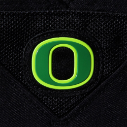 Oregon Ducks Fanatics Authentic Team-Issued #22 Black \