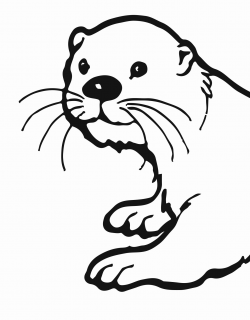 Otter clipart clip art, Otter clip art Transparent FREE for ...