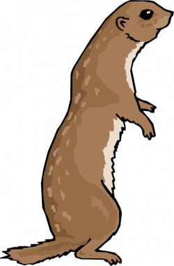 Free Otter Cliparts, Download Free Clip Art, Free Clip Art ...