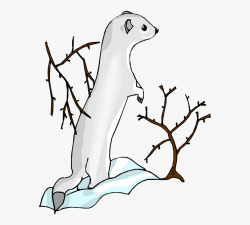 Cartoon River Otter Clipart Free Clip Art Images - Sea Otter ...