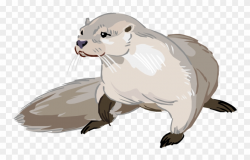 Otter Png Photo - Otter Png Clipart, Transparent Png ...