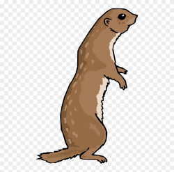 Otter Png File - Otter Clipart Transparent Background, Png ...
