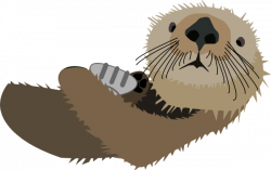 Otter PNG Images Transparent Free Download | PNGMart.com