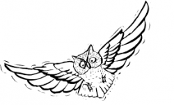 cute owl clipart black and white - Google Search | Halloween ...