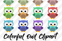 Owl Clipart, Cute Owls