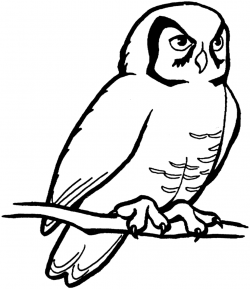Free Owl Cliparts Body, Download Free Clip Art, Free Clip Art on ...