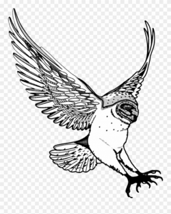 Nursery Drawing Flying - Swooping Owl Clipart - Png Download ...