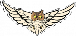 Flying Owl Clipart | Clipart Panda - Free Clipart Images