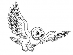 Best Flying Owl Clipart #28210 - Clipartion.com