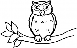Free Owl Outline, Download Free Clip Art, Free Clip Art on Clipart ...