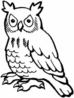 Free Owl Outline, Download Free Clip Art, Free Clip Art on Clipart ...