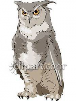 Owl clipart realistic » Clipart Portal