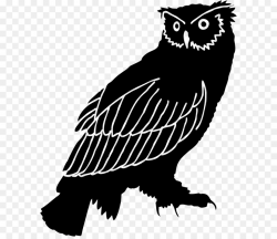 Owl Owl png download - 640*772 - Free Transparent Owl png Download.