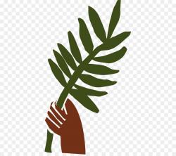 Palm Branch Plant png download - 443*792 - Free Transparent Palm ...