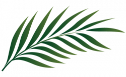 Palm sunday leaf clipart kid - Clipartix