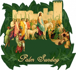 palm+sunday | on palm sunday the church observes the triumphal entry ...