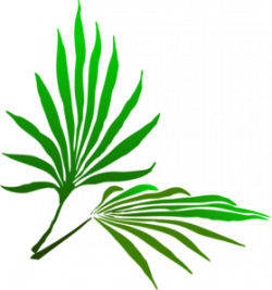 Palm Sunday Branch Clip Art at Clker.com - vector clip art online ...