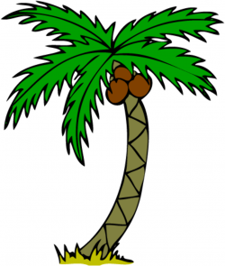 Free Palm Tree Images, Download Free Clip Art, Free Clip Art on ...