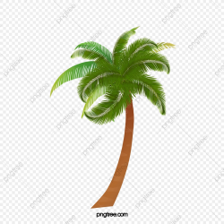 Cartoon Palm Tree, Tree Clipart, Cartoon Clipart, Palm Tree PNG ...
