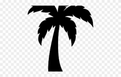 Skyline Clipart Palm Tree - Palm Tree Clipart Easy - Png Download ...