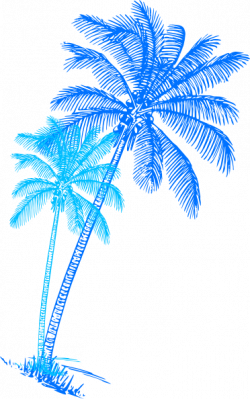 Blue Palm Tree Pair Clip Art at Clker.com - vector clip art online ...