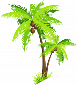 Palm tree coconut clipart free images | clip art | Palm tree clip ...