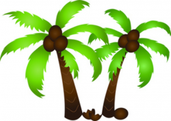 Coconut palm tree clipart tropical - WikiClipArt