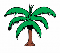 Coconut Palm Plant Tree Png Image - Clipart Of A Coconut Tree ...
