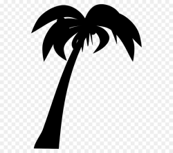 Coconut, Drawing, Tree, transparent png image & clipart free download