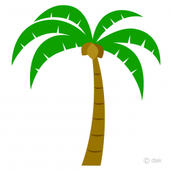 Simple Palm Tree Clipart Free Picture｜Illustoon