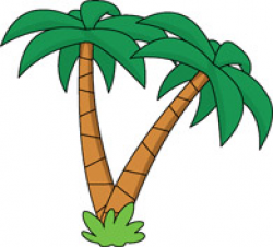 Search Results for palm tree - Clip Art - Pictures - Graphics ...