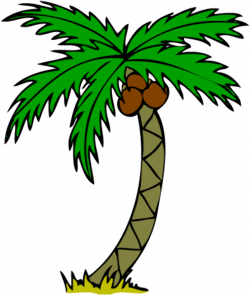 Palm tree clip art printable free clipart images 2 - Clipartix ...