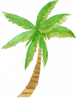watercolor palm tree, clipart, palm tree, palm tree clipart, kids ...