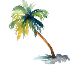 Watercolor Painting Arecaceae Drawing Tree PNG, Clipart, Arecaceae ...