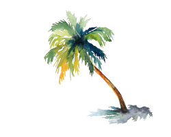 Palm tree | We Heart It | transparent, overlay, and tree | i like ...