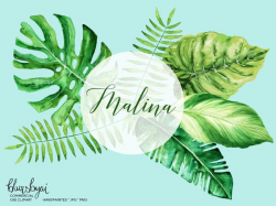Watercolor tropical leaves clipart, monstera deliciosa, banana leaf & palm,  commercial license