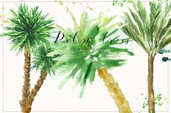 Palm tree. Watercolor clipart.