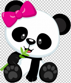 Giant Panda Bear Baby Pandas PNG, Clipart, Animals, Baby, Baby ...