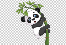 Giant Panda Graphics Bamboo Illustration PNG, Clipart, Bamboo, Bear ...